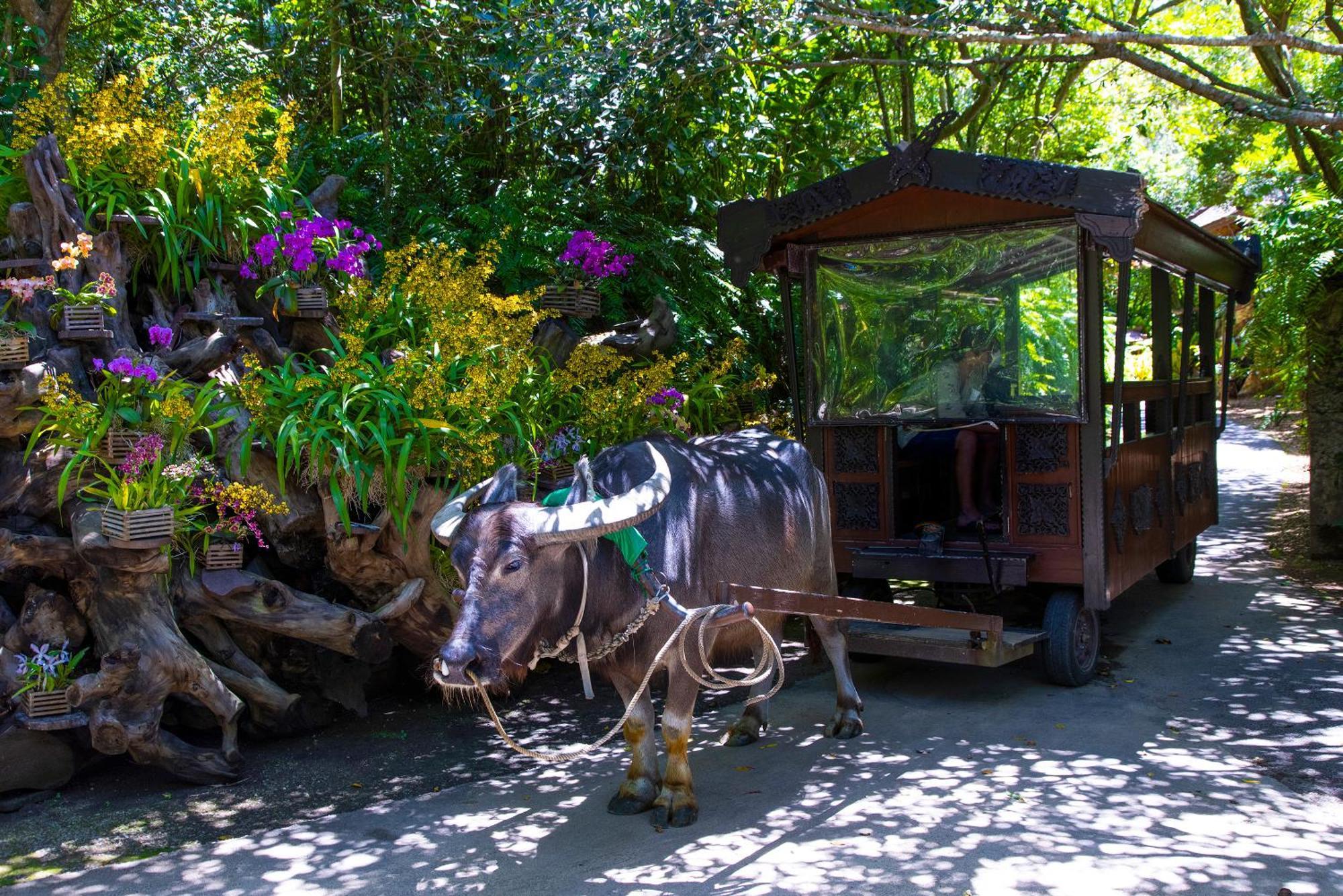 新規オープン サウナ Bbq ジャグジー付き 最大7名 無料駐車場4台 ビーチまで車で5分 Sky House Villa Uruma Dış mekan fotoğraf